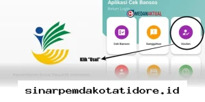 Panduan Praktis Daftar Bansos Kemensos 2026 Lewat Aplikasi agar Langsung Disetujui!
